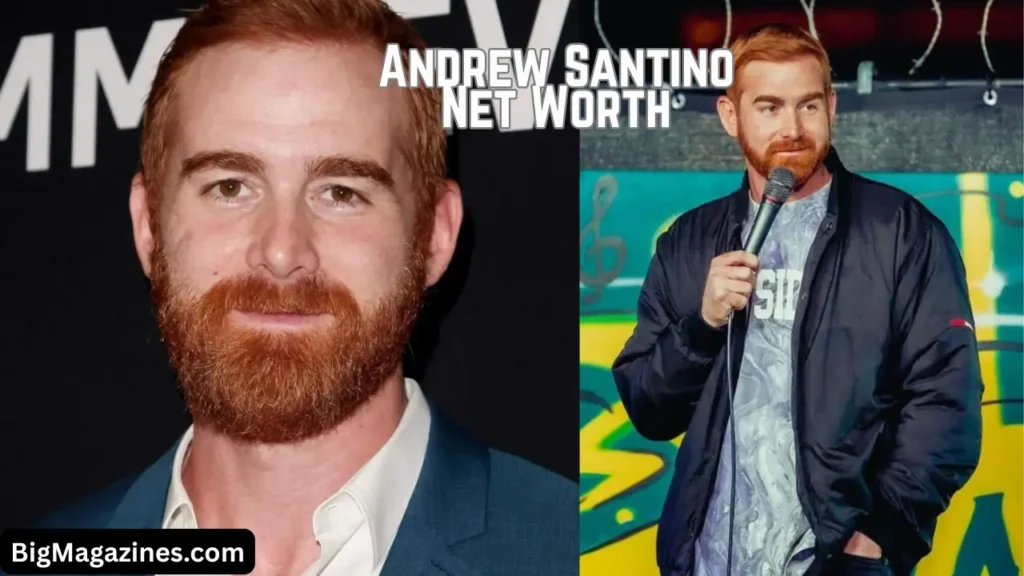 andrew santino net worth
