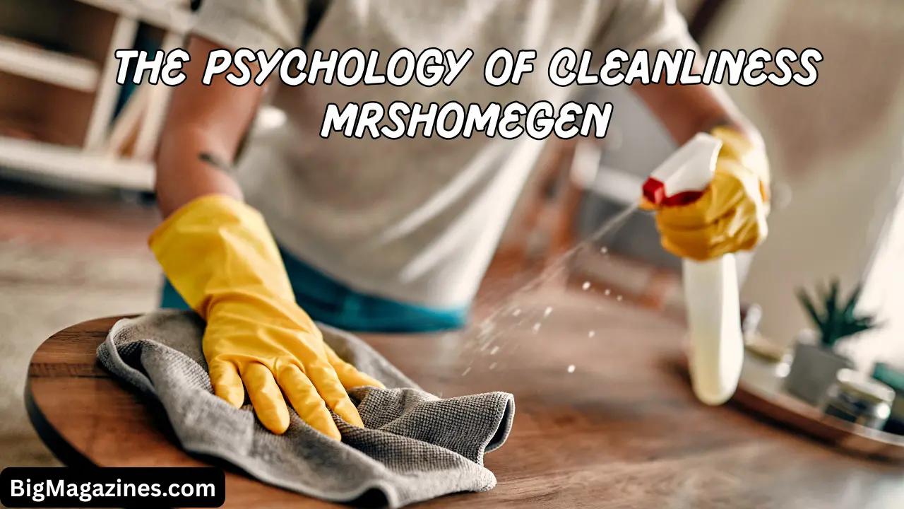 the psychology of cleanliness mrshomegen